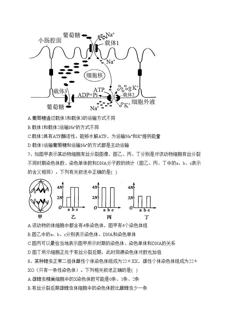 深圳市福田区外国语高级中学2022-2023学年高三上学期第二次调研考试生物试题(含答案)03