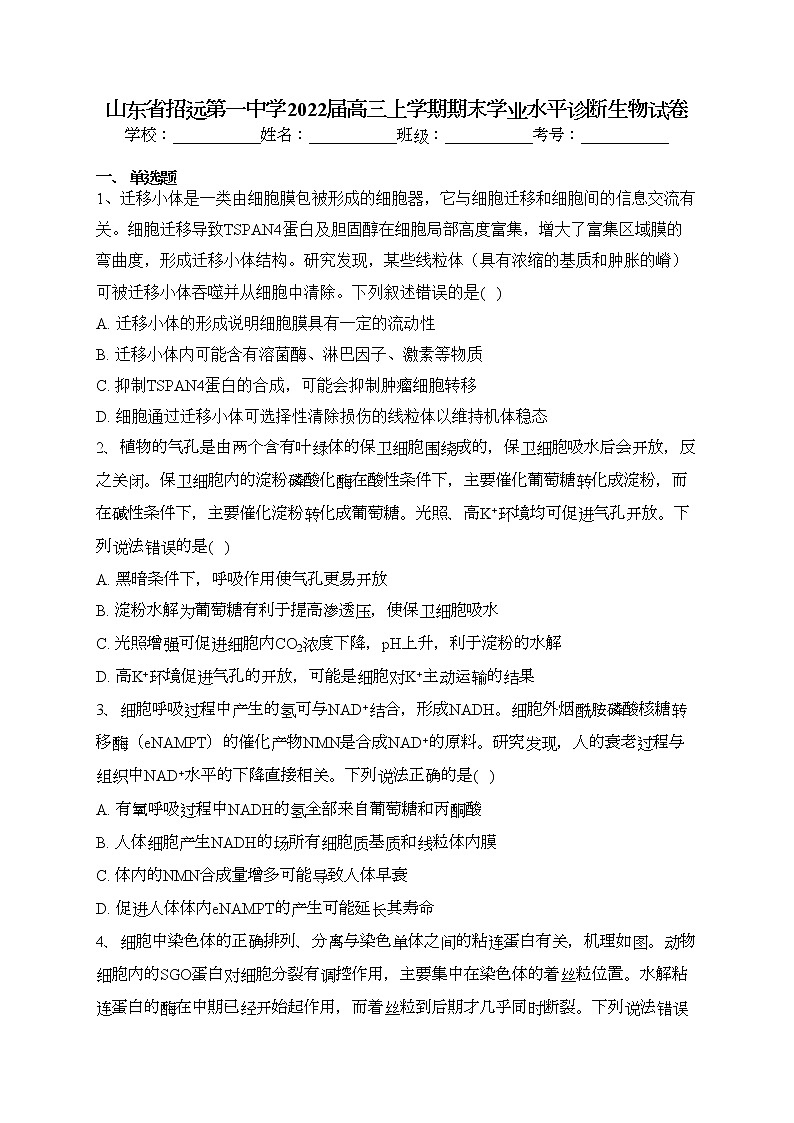 山东省招远第一中学2022届高三上学期期末学业水平诊断生物试卷(含答案)第1页