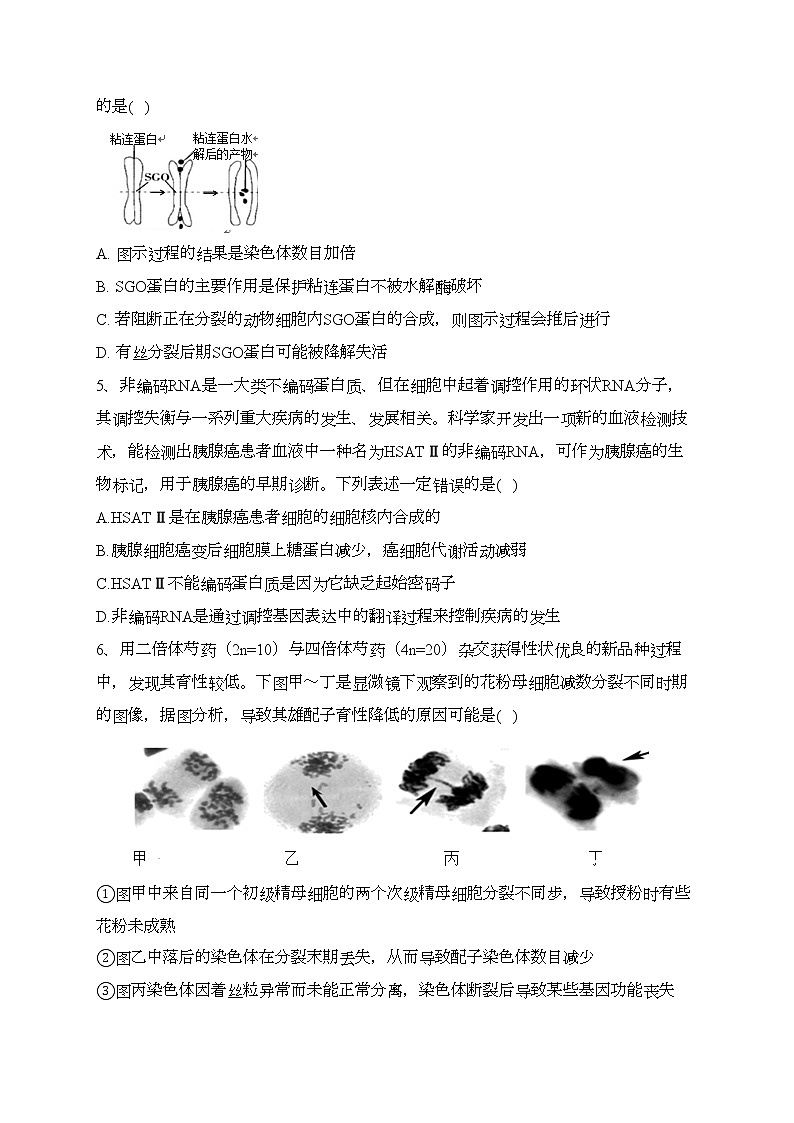 山东省招远第一中学2022届高三上学期期末学业水平诊断生物试卷(含答案)第2页