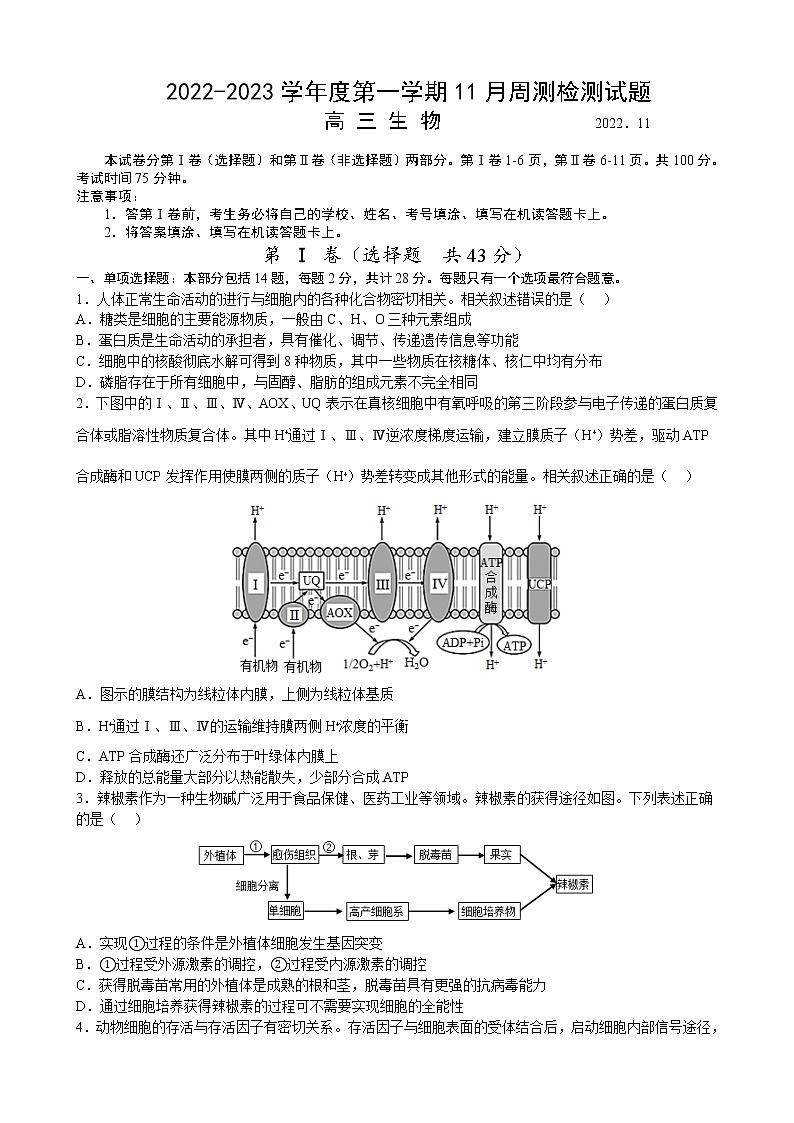 2022-2023学年江苏省扬州中学高三上学期11月双周练月考生物试题含答案第1页