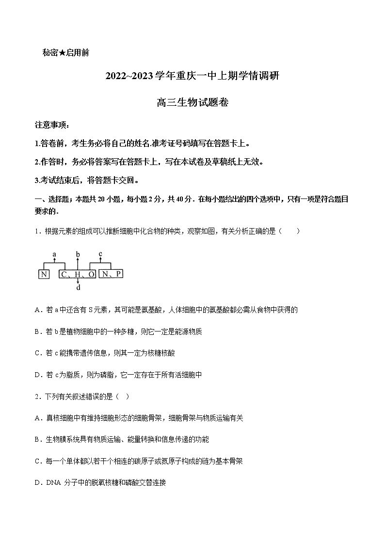 2022-2023学年重庆市第一中学校高三上学期12月月考生物试题含答案01