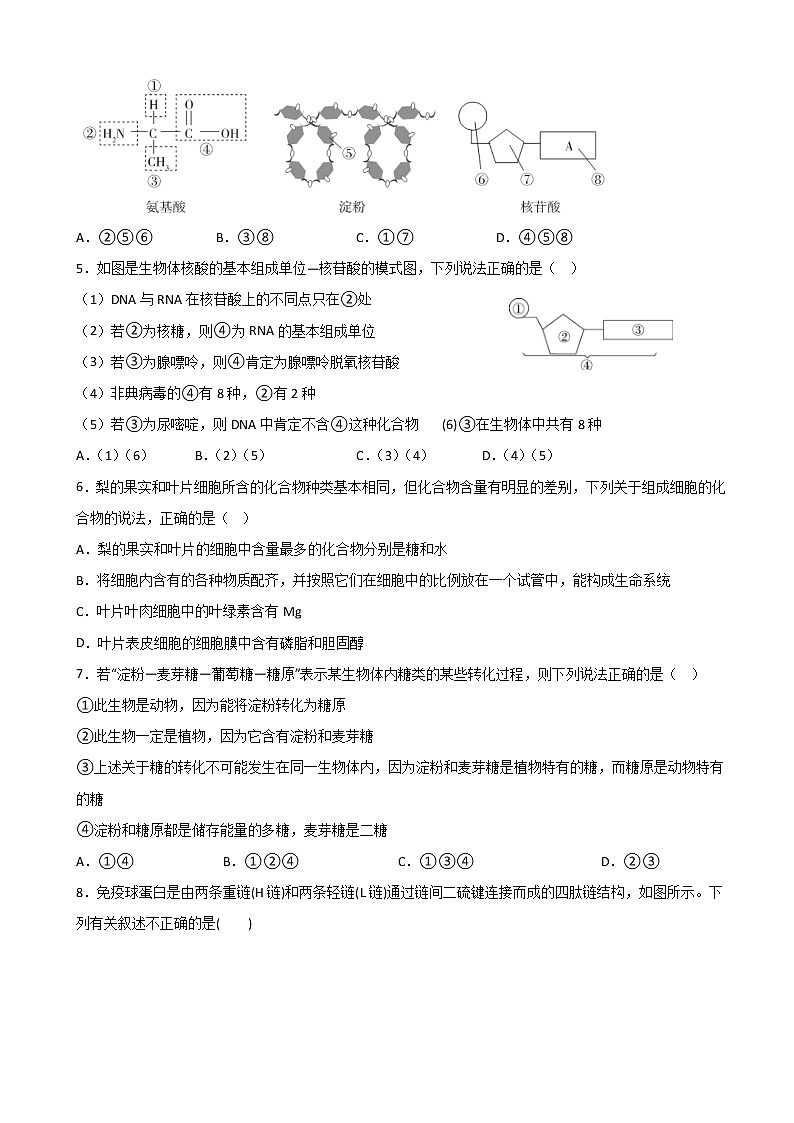 2023届福建省三明市第一中学高三上学期第二次月考生物试题含答案第2页