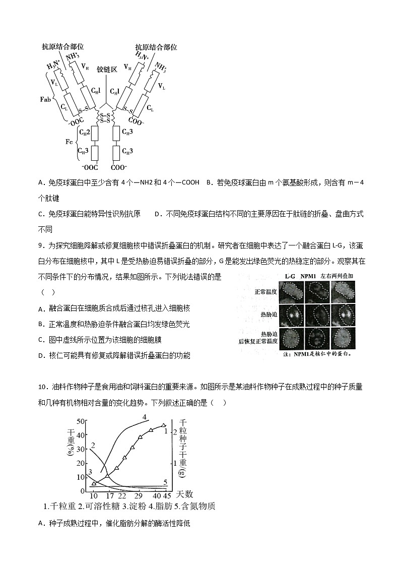 2023届福建省三明市第一中学高三上学期第二次月考生物试题含答案第3页