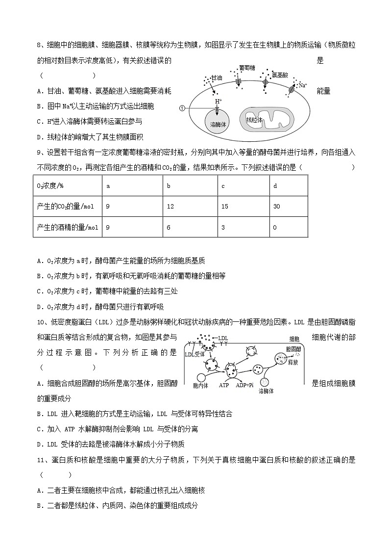 2023届山东省泰安市泰安一中老校区（新泰中学）高三上学期第一次月考生物试题含答案第3页