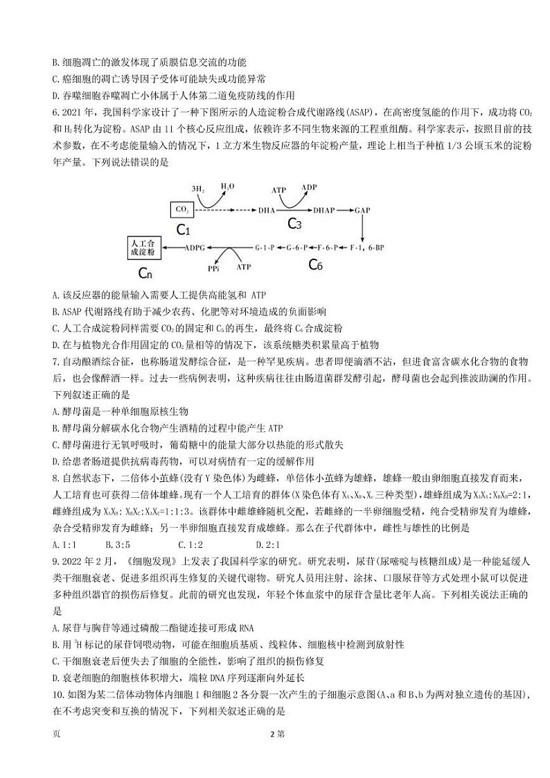 2023届山东师范大学附属中学高三上学期第一次月考生物试卷PDF版含解析第2页