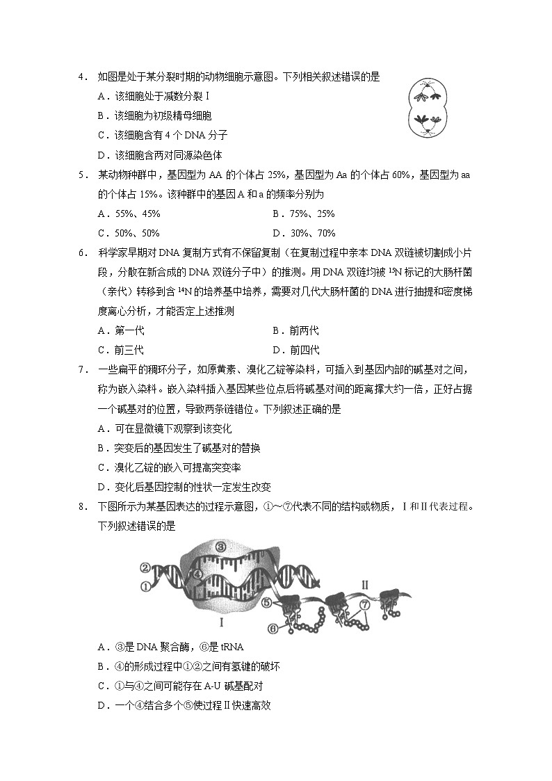 2022-2023学年广东省广州市高三上学期11月调研测试生物试题含解析02