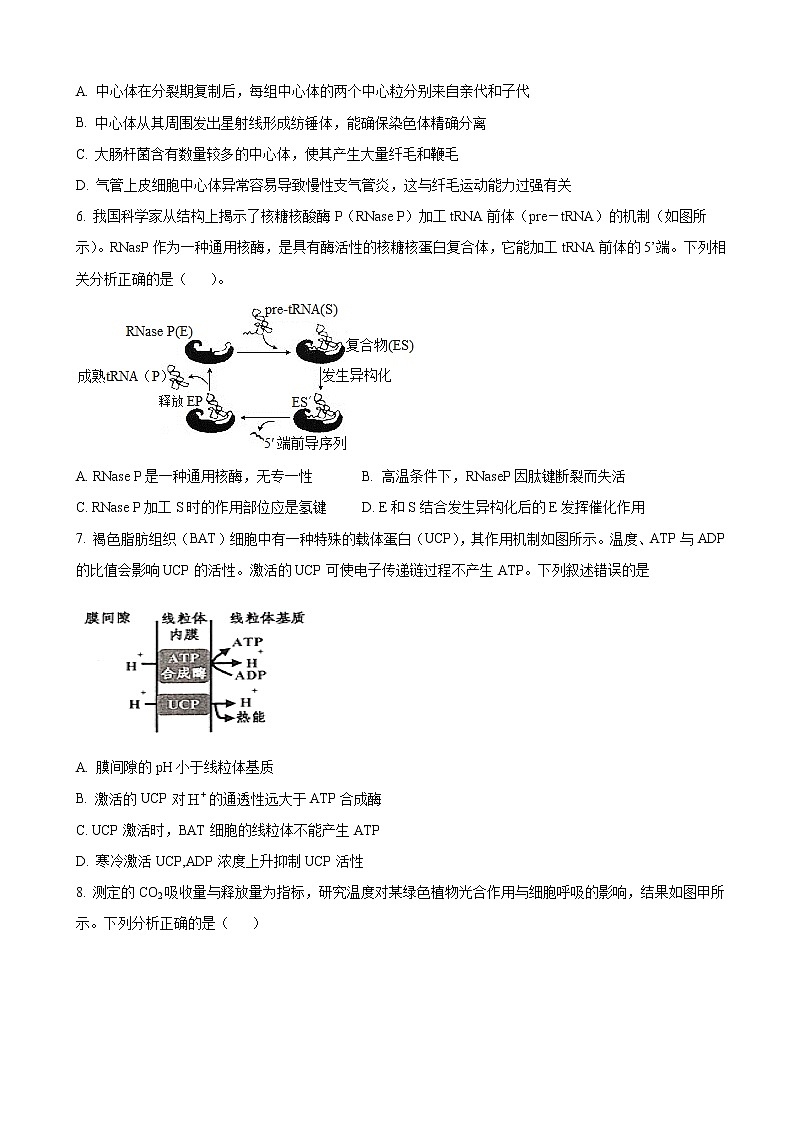 2023届山东省宁阳县第四中学高三上学期10月阶段检测生物试卷含答案第2页