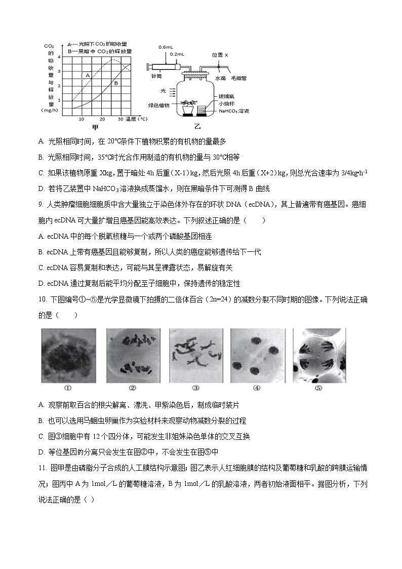2023届山东省宁阳县第四中学高三上学期10月阶段检测生物试卷含答案第3页
