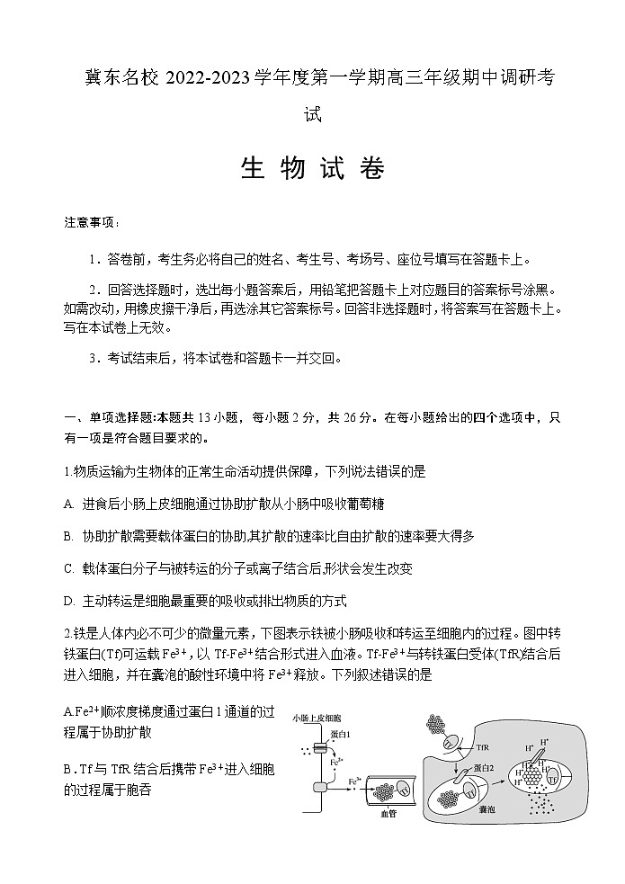 2022-2023学年河北省冀东名校高三上学期期中调研考试生物试题含解析01