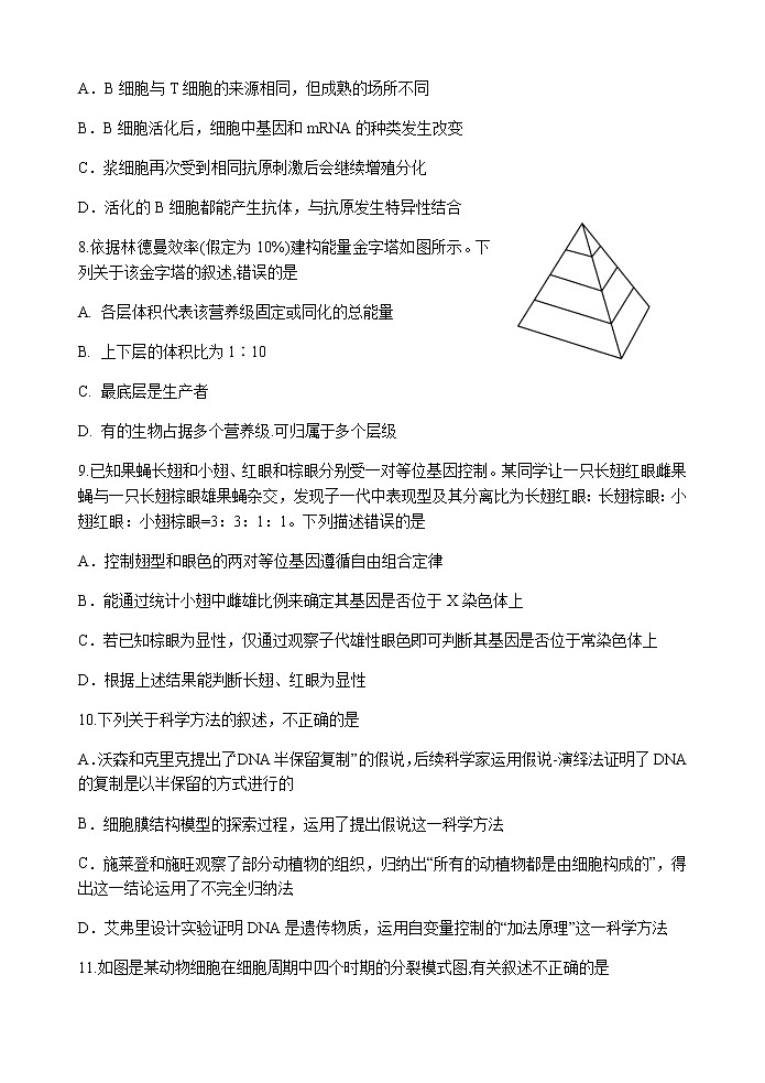 2022-2023学年河北省冀东名校高三上学期期中调研考试生物试题含解析03