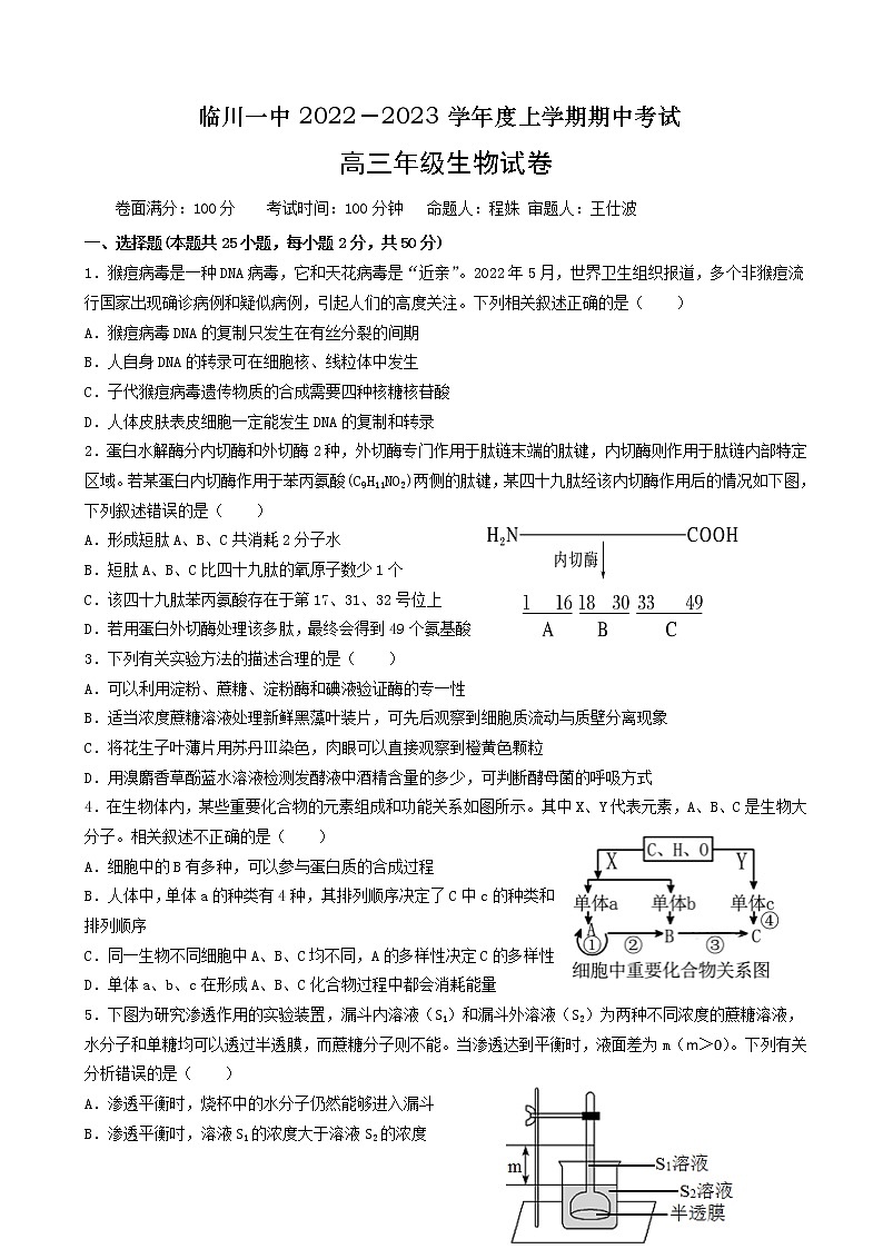 2022-2023学年江西省临川第一中学高三上学期10月期中考试生物含解析01