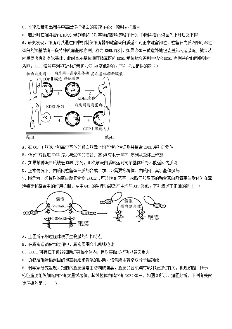 2022-2023学年江西省临川第一中学高三上学期10月期中考试生物含解析02
