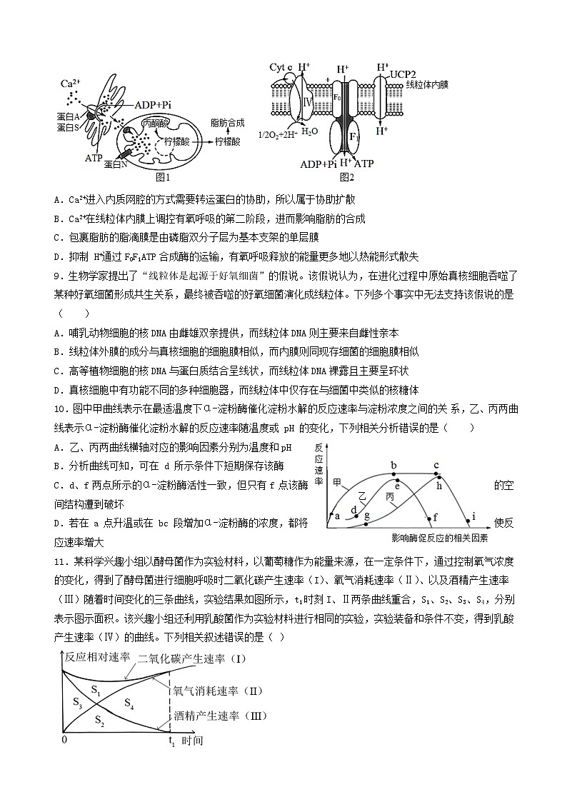 2022-2023学年江西省临川第一中学高三上学期10月期中考试生物含解析03