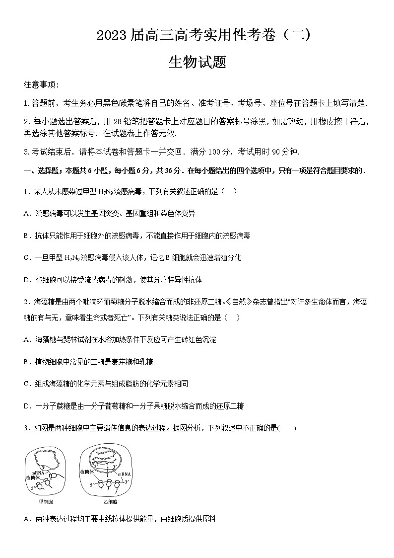 2022-2023学年新疆维吾尔自治区喀什第六中学高三上学期10月期中考试生物试题含答案01
