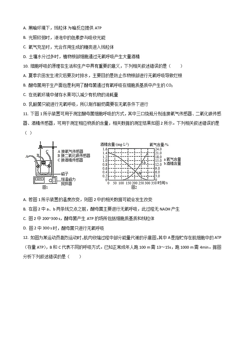 2022届新疆喀什市第六中学高三上学期期中考试生物试题含答案03