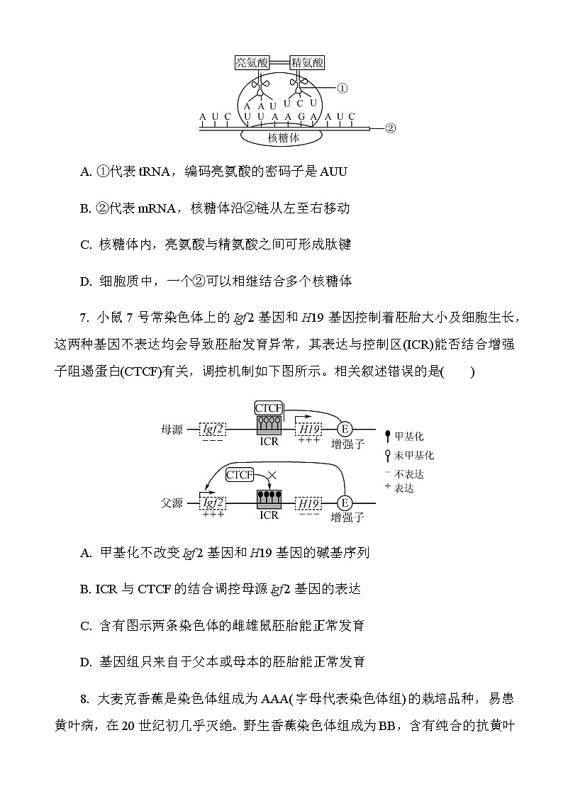 2023届江苏省常州市高三上学期期中考试生物试题含答案第3页