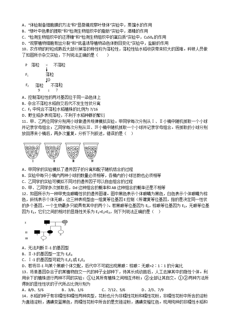 2023届江西省丰城中学高三上学期期中考试生物试题含答案02