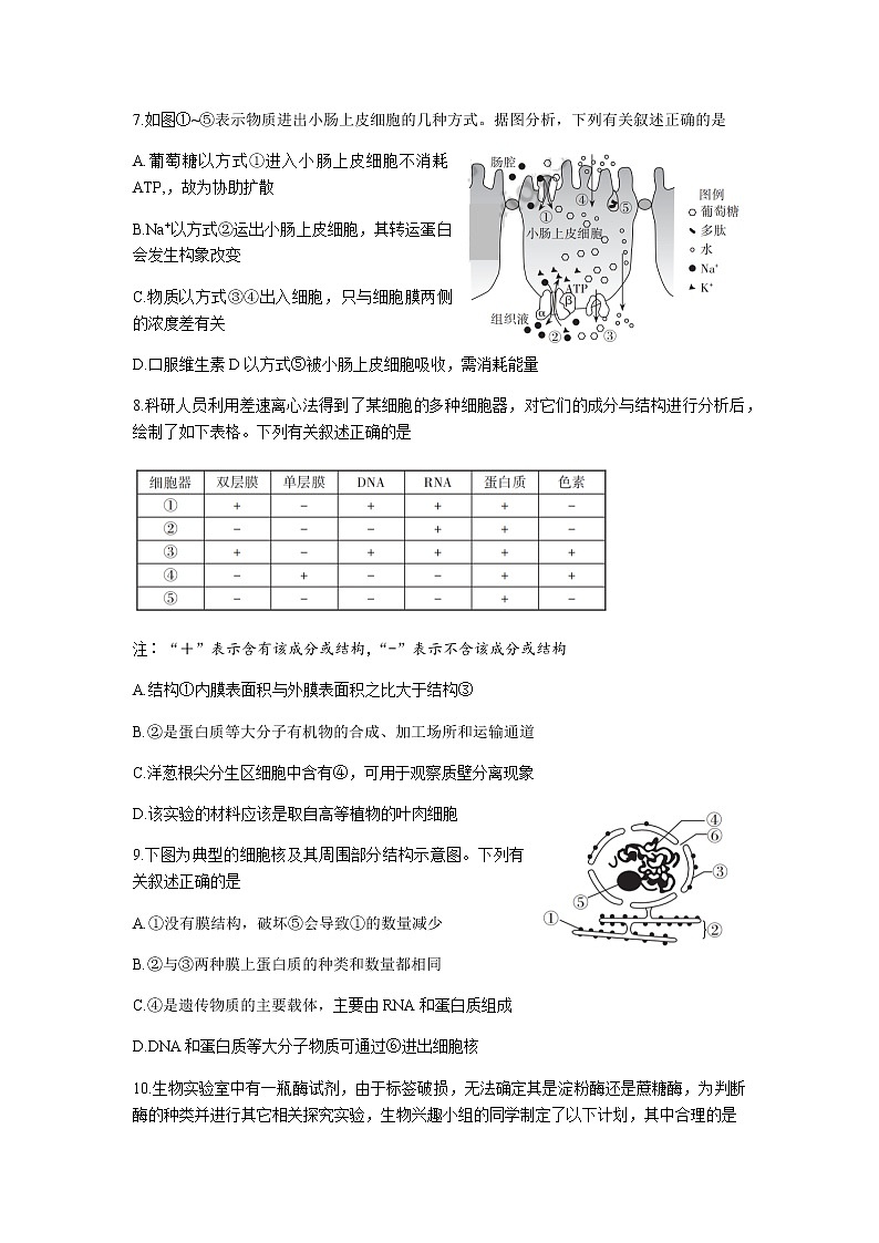 2023届山西省思而行高三上学期一轮复习期中考试生物含答案03