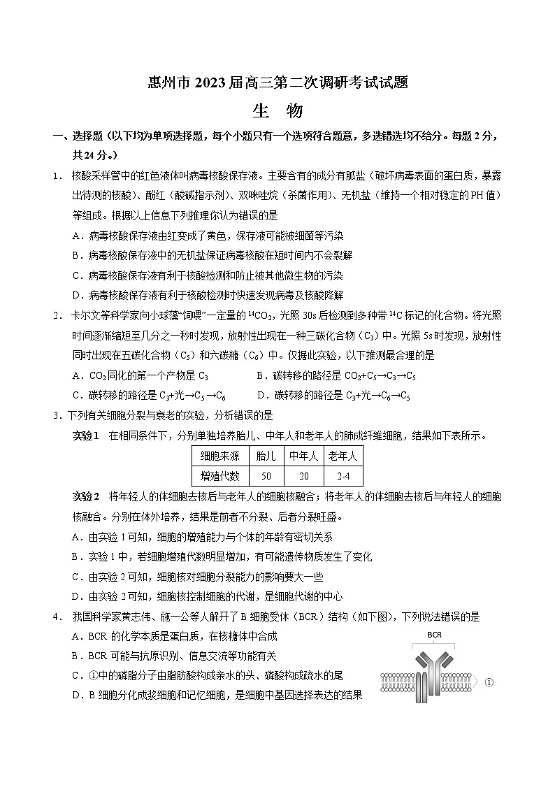 2022-2023学年广东省惠州市高三上学期第二次调研考试生物含答案01