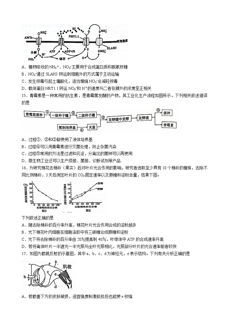 2022-2023学年浙江省浙南名校联盟高三上学期第一次联考试题生物含答案03