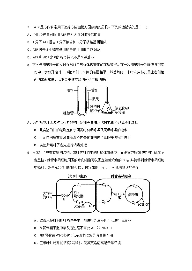 2023届广东省实验中学高三上学期第一次阶段考试生物试题含解析第3页