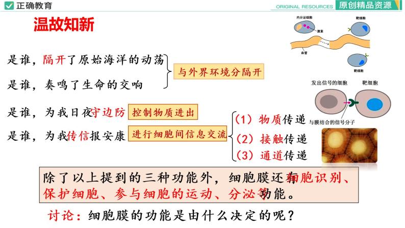 3.1 细胞膜的结构和功能（第二课时）课件PPT03