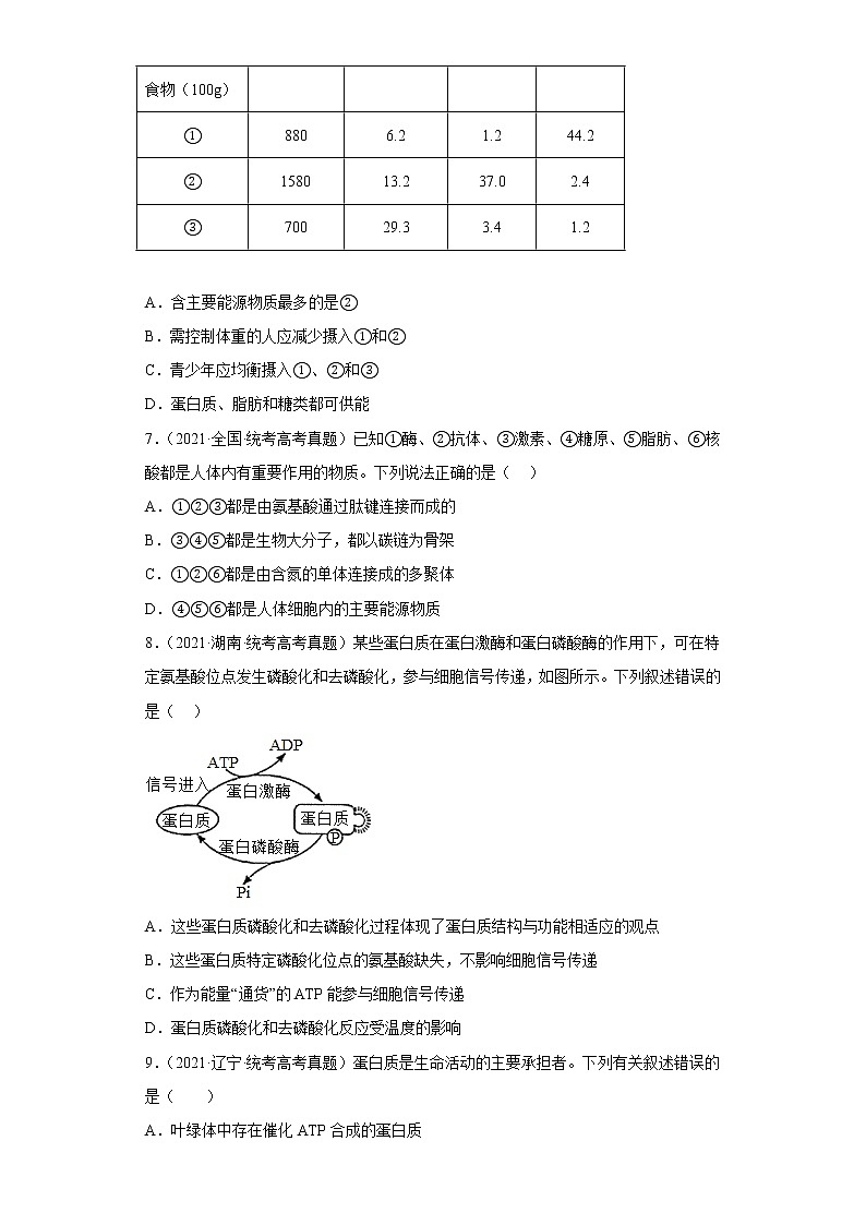 五年2018-2022高考生物真题按知识点分类汇编2-组成细胞的分子-蛋白质（含解析）第2页
