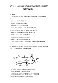 五年2018-2022高考生物真题按知识点分类汇编8-细胞膜和细胞壁（含解析）