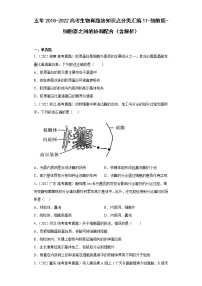 五年2018-2022高考生物真题按知识点分类汇编11-细胞质-细胞器之间的协调配合（含解析）