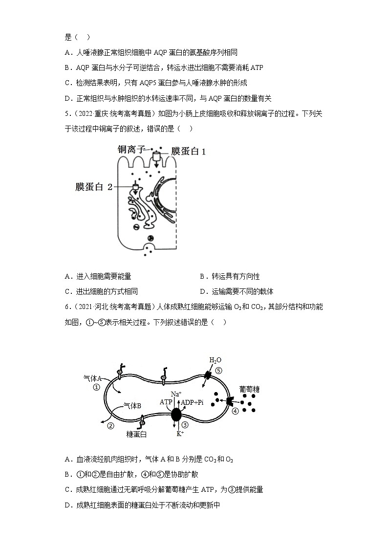 五年2018-2022高考生物真题按知识点分类汇编14-细胞的物质输入和输出-被动运输（含解析）第2页