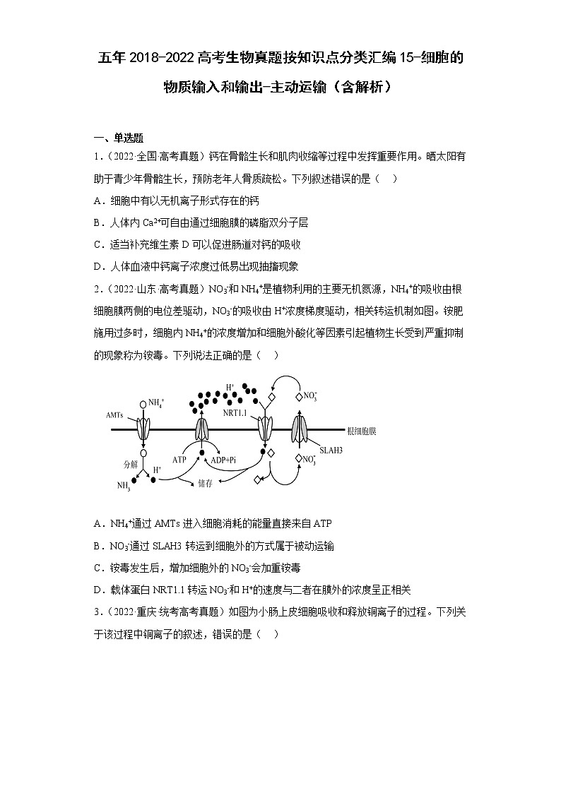 五年2018-2022高考生物真题按知识点分类汇编15-细胞的物质输入和输出-主动运输（含解析）01