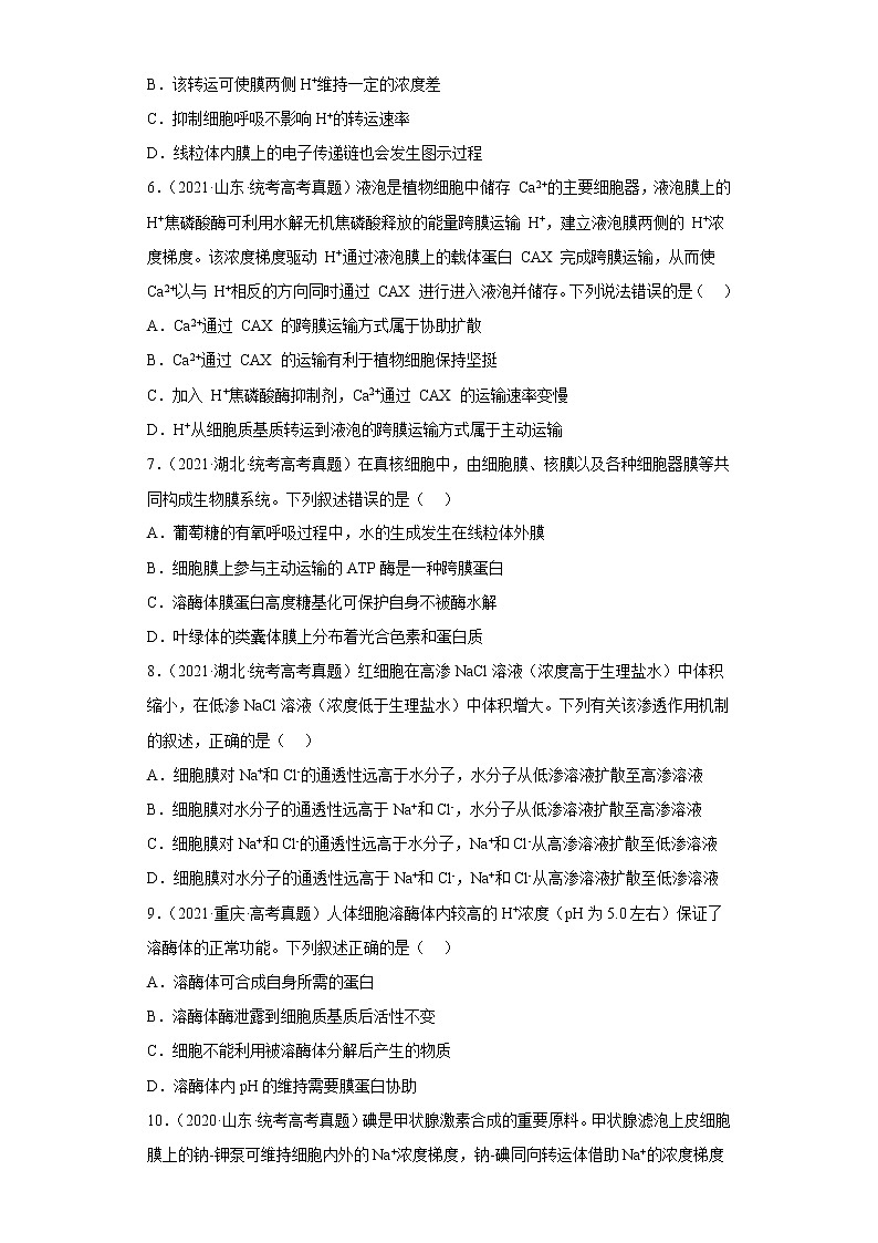 五年2018-2022高考生物真题按知识点分类汇编15-细胞的物质输入和输出-主动运输（含解析）03