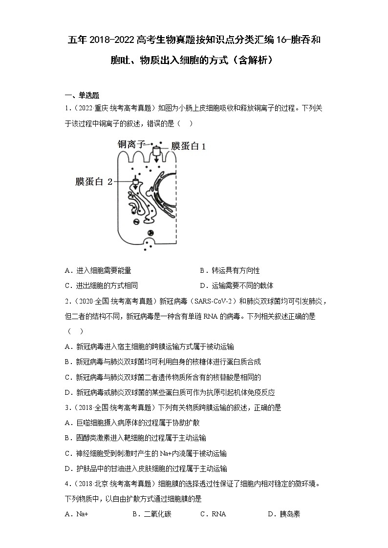 五年2018-2022高考生物真题按知识点分类汇编16-胞吞和胞吐、物质出入细胞的方式（含解析）第1页