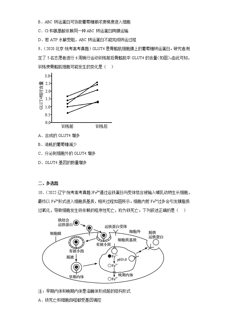五年2018-2022高考生物真题按知识点分类汇编16-胞吞和胞吐、物质出入细胞的方式（含解析）第3页