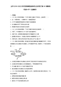 五年2018-2022高考生物真题按知识点分类汇编18-细胞的代谢-ATP（含解析）