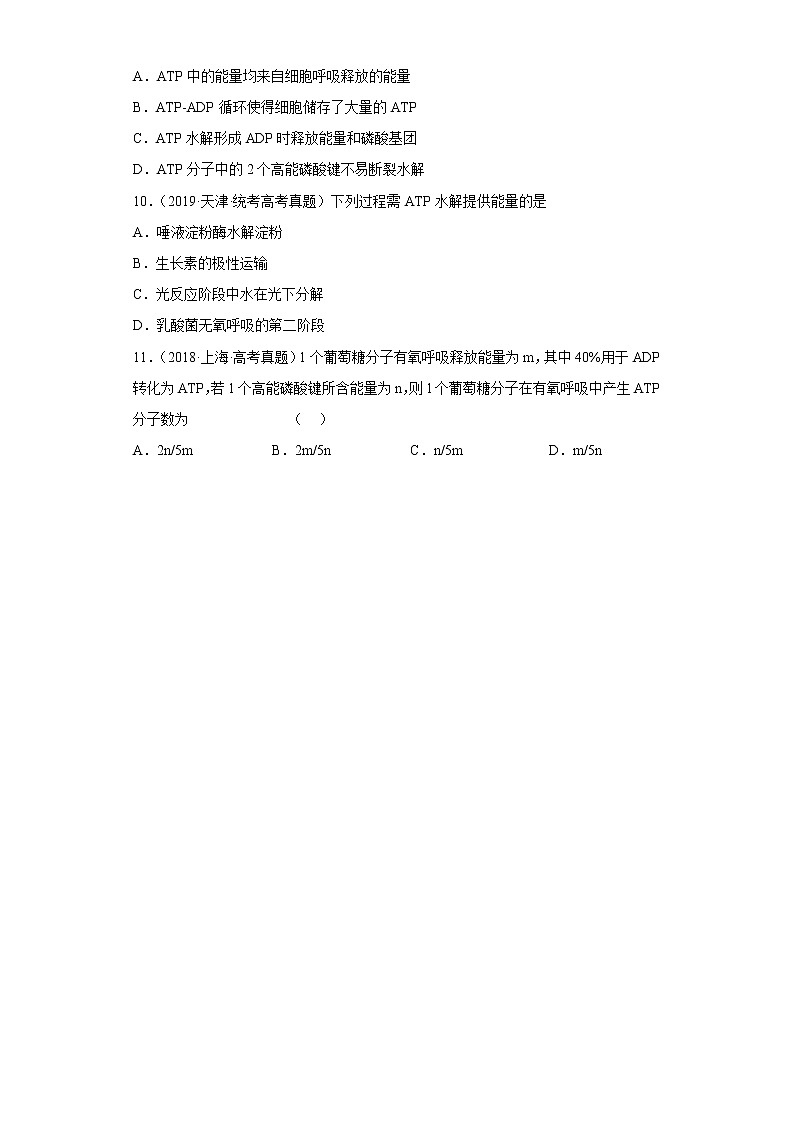 五年2018-2022高考生物真题按知识点分类汇编18-细胞的代谢-ATP（含解析）第3页