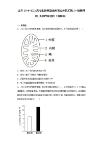 五年2018-2022高考生物真题按知识点分类汇编21-细胞呼吸-无氧呼吸过程（含解析）