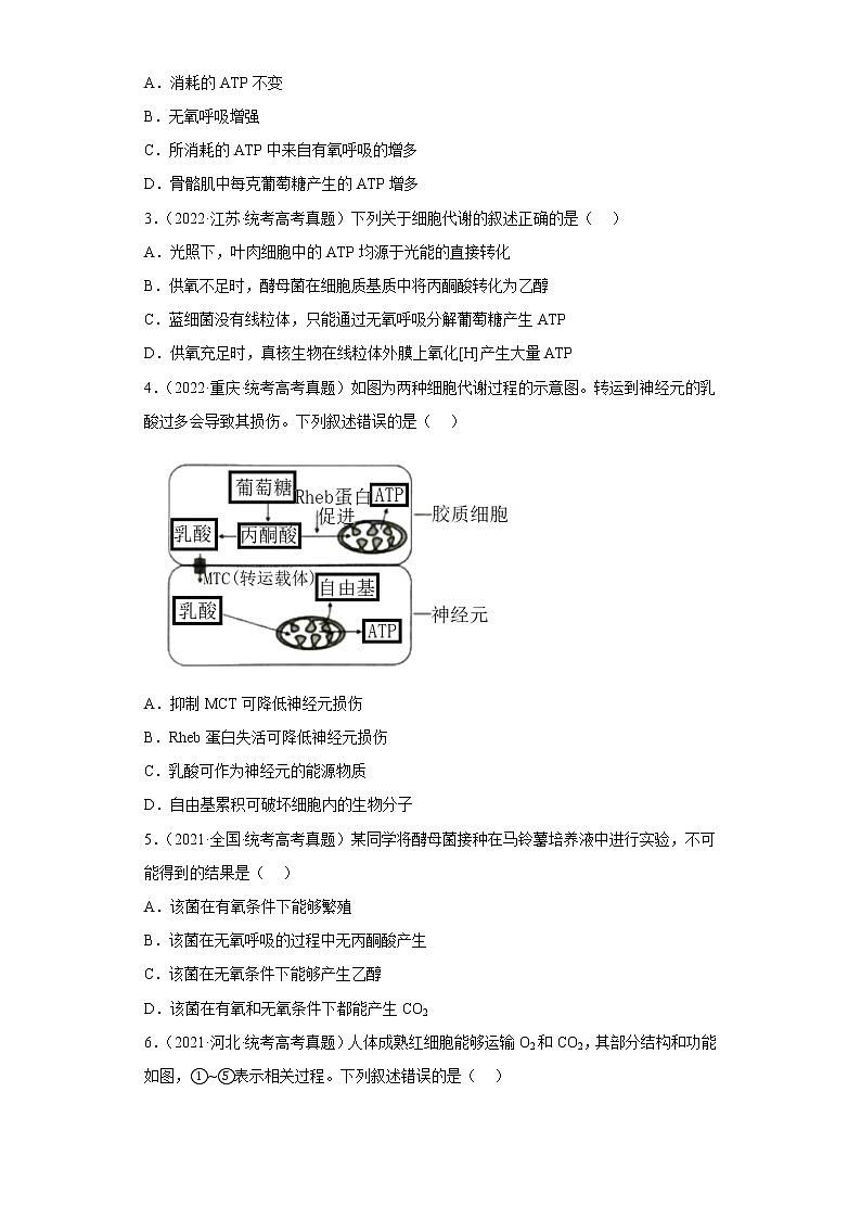 五年2018-2022高考生物真题按知识点分类汇编21-细胞呼吸-无氧呼吸过程（含解析）第2页