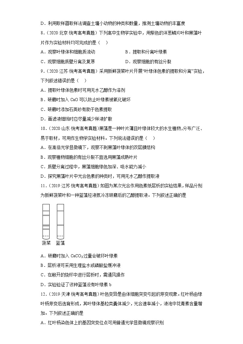 五年2018-2022高考生物真题按知识点分类汇编22-光合作用-叶绿体（含解析）第3页