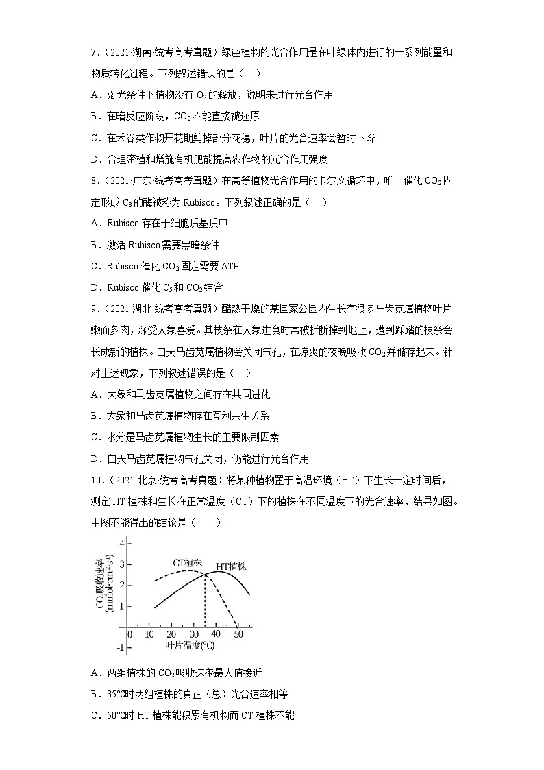 五年2018-2022高考生物真题按知识点分类汇编23-光合作用的原理与应用-选择题（含解析）第3页