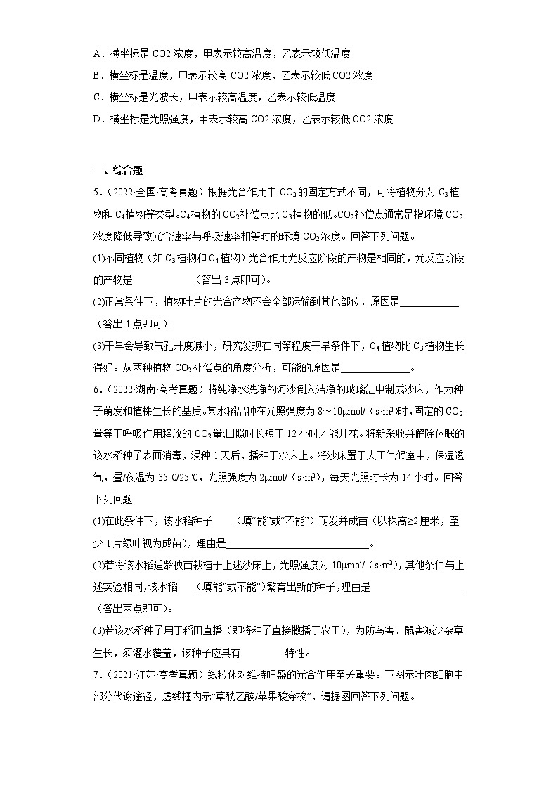 五年2018-2022高考生物真题按知识点分类汇编25-光合作用与呼吸作用（含解析）第2页