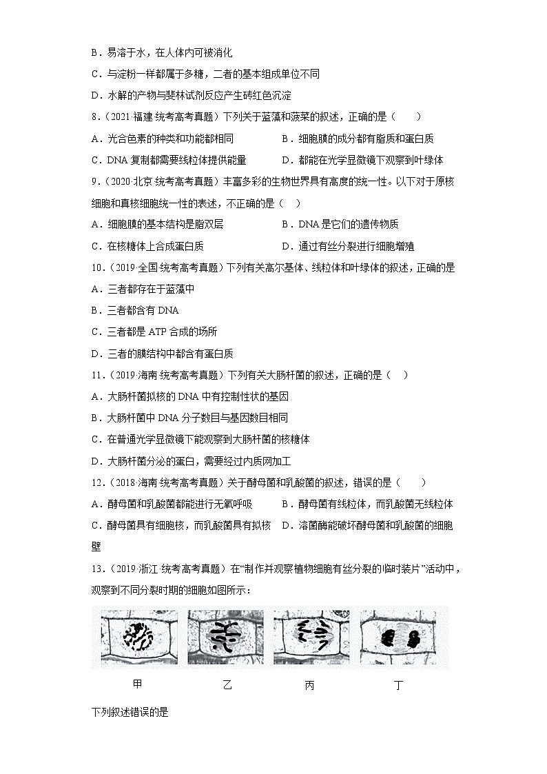 五年2018-2022高考生物真题按知识点分类汇编7-细胞的多样性和统一性（含解析）第2页