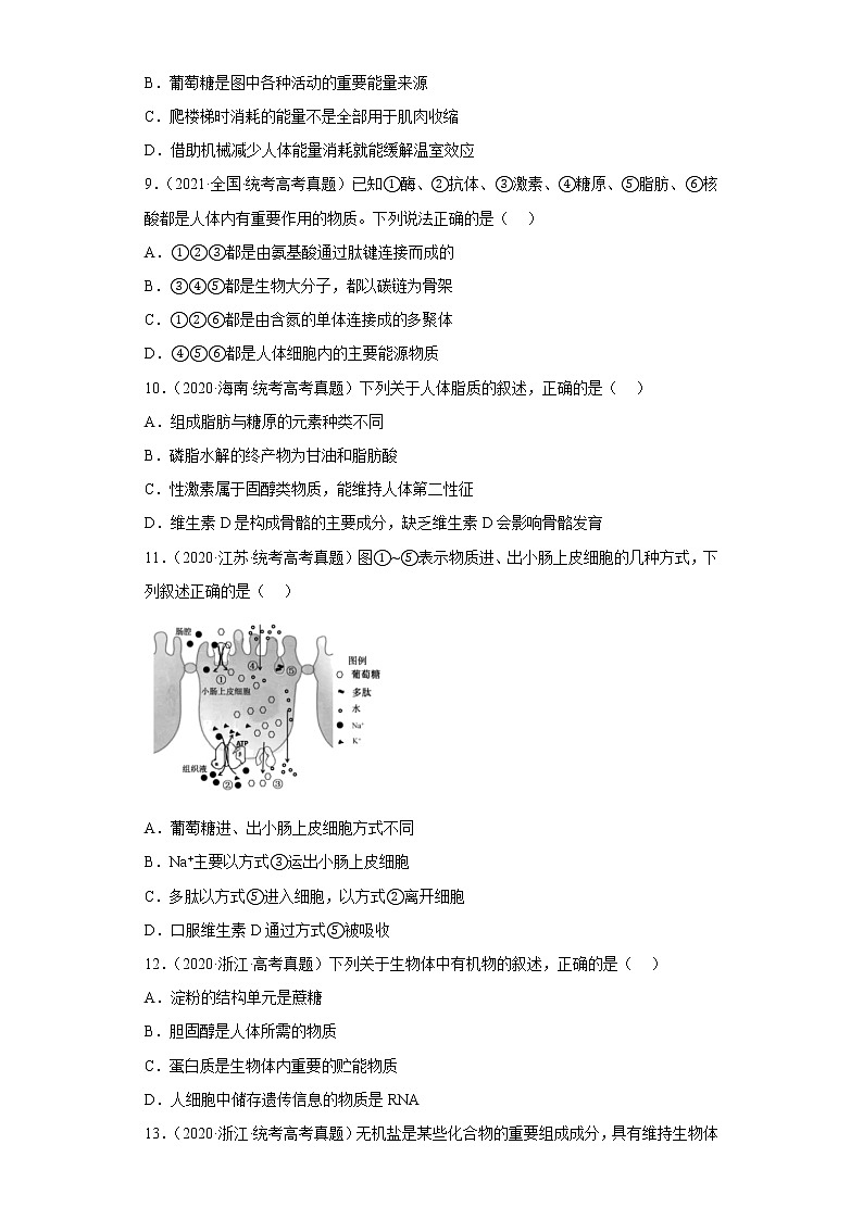 五年2018-2022高考生物真题按知识点分类汇编4-组成细胞的分子-细胞中的糖类和脂质量（含解析）第3页
