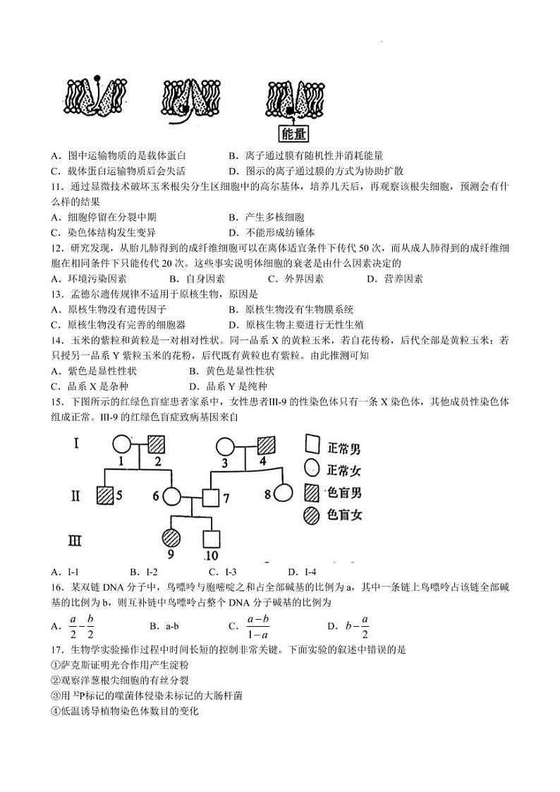 2023届四川省德阳市高三上学期高考第一次诊断考试生物试题（含答案）02