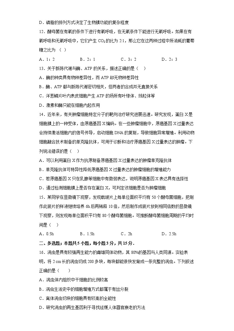 山东省青岛市第二中学2022-2023学年高一生物上学期1月期末试题（Word版附答案）03