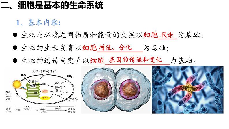 1.1 细胞是生命活动的基本单位 （第2课时）课件PPT02