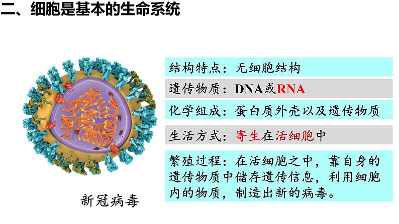1.1 细胞是生命活动的基本单位 （第2课时）课件PPT04