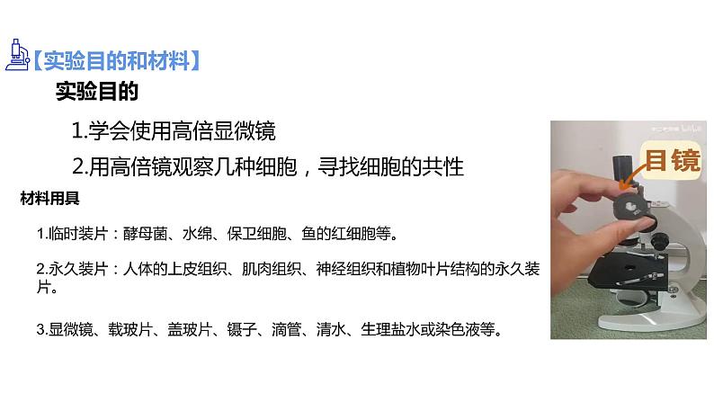 1.2细胞的多样性和统一性（第1课时）课件PPT04