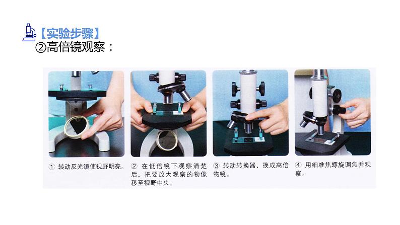 1.2细胞的多样性和统一性（第1课时）课件PPT07