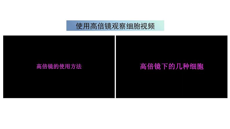 1.2细胞的多样性和统一性（第1课时）课件PPT08